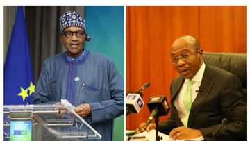 Why I cannot sack Emefiele, remove fuel subsidy, Buhari says