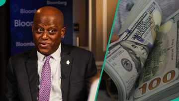 CBN unveils new plan for Nigeria’s foreign reserves, aims to reduce dollar dominance