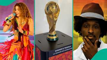 FIFA World Cup anthems: Shakira's Waka Waka, 4 other hit songs from football tournaments