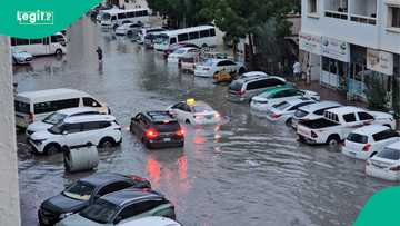 UAE: Daular Larabawa ta gamu da mummunan iftila'i, al'amura sun tsaya cak a birane