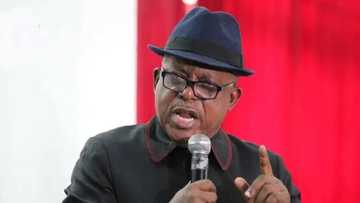 Har Yanzun Babu Jam'iyyar Siyasa Kamar PDP a Nahiyar Africa, Secondus