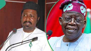 Security expert advises Tinubu on how to tackle insecurity: "Uniforms and weapons not enough"