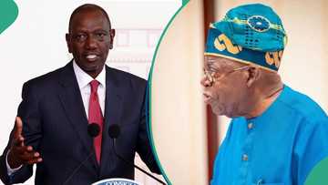 Nigeria vs Kenya: List of top 10 African countries with highest English proficiency