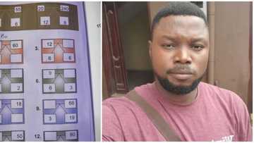 "Which kind wahala be this?" Nigerian man laments over niece's quantitative reasoning homework, people react
