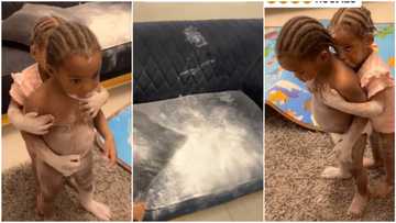 Parents catch twins after messing up apartment and sofa with powder, they hide in funny video