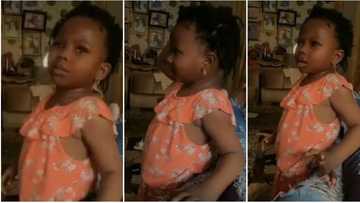 School fees is working: Video shows baby girl as she tearfully insists dad must beg her in English not Yoruba