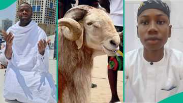Eid-el-Kabir to remember: Femi Adebayo gifts 12-year-old boy Sallah ram, two others money