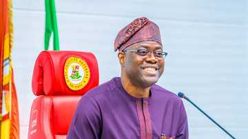 Live Updates: Winners emerge as results troop in from PDP's governorship primaries across Nigeria