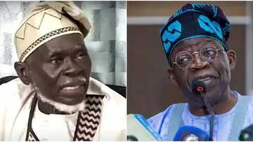 Ganawa Da Tinubu: Shugaban Tsagin Jam'iyyar Labour, Lamidi Apapa Ya Bada Sharaɗin Ganawa Da Zababben Shugaban Kasa