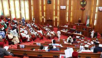 Tirkashi: Wani dan majalisa ya takarkare ya banka tusa a dakin majalisa da ta sanya kowa ficewa daga dakin