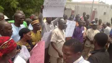 Benue senior citizens storm streets of Markudi in protest, lament 74 months unpaid pension