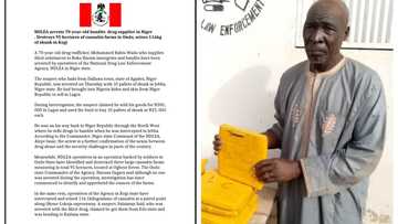 NDLEA ta kame wani tsoho dan shekara 70 dake kaiwa 'yan Boko Haram kwaya