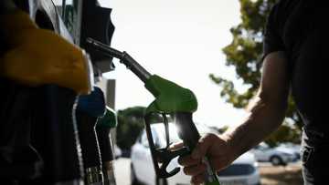 OPEC+ slated to increase oil output in bid to regain market share