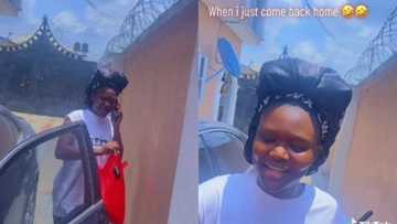 Funny sister acts like her elder brother to make him laugh, video goes viral on TikTok