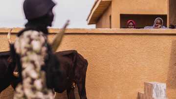 A Maida ni Wajen Mijina Inji ‘Yar Chihok da Aka Ceto Daga Hannun ‘Dan Boko Haram