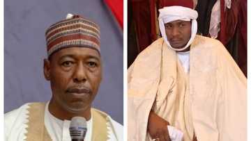 Gwamnan jihar Borno Babagana Zulum ya nada sabon Shehun Dikwa