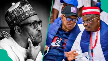 Kwankwaso mentions 1 Buhari's factor, other reasons he chose to be Obi's VP
