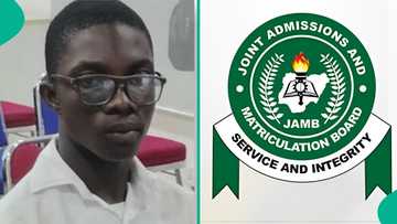 UTME result of Abuja school head boy surfaces online, sends people into frenzy: "What?"