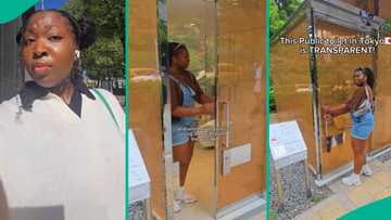 Trending video shows lady entering transparent toilet in Japan, people react: "Too risky for me"