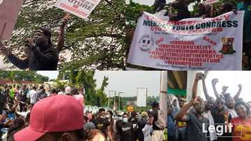 ENDSARS: Kotu ta bawa CBN izinin rufe asusu 19 mallakin masu rura wutar zanga-zanga