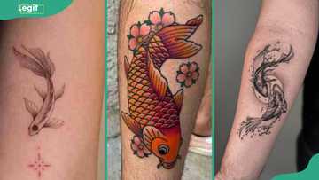 Koi fish tattoo meaning: direction, colour symbolism, and 15 powerful designs