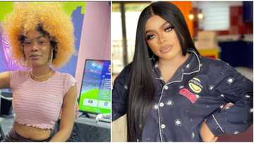 I want to live in peace: Bobrisky's ex-PA Oye finally apologizes days after crossdresser wished her well