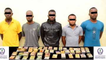 UAE denies refusing Nigerians visas, says such never happened