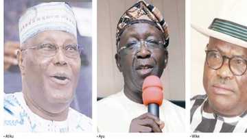 Amanata Suka ci kuma Suka Karya Alkawari, Wike ya Fallasa Abinda ya Hadasa da Ayu da Atiku