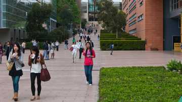 "No application fees": Researcher lists 14 Australian universities with scholarships for Nigerians