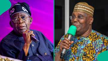 Petrol discount: Atiku accuses Tinubu of using NNPC Limited as 'campaign cashier'