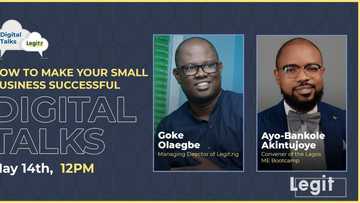 Digital Talks: Legit.ng hosts webinar for entrepreneurs on how to make small businesses successful