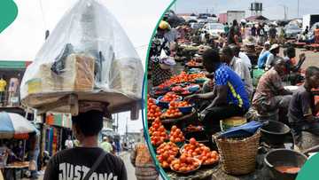 10 most affordable states to live in Nigeria as fish, meat, other items' prices drop