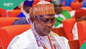 Ambaliya: Abin da sanatocin Arewa ke bukata daga Tinubu da gwamnatin Neja