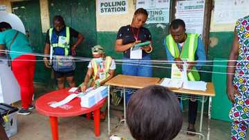 BREAKING: INEC begins uploading of Kogi, Bayelsa, Imo gov elections on IReV, see how to check