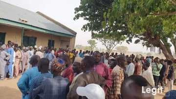 Live results of supplementary governorship elections trickle in from polling units in Adamawa, Kebbi states