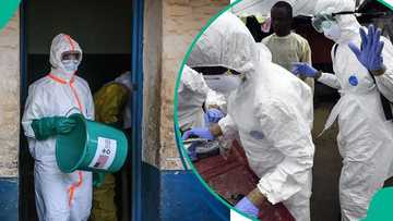 FG places 15 Nigerian states on Ebola alert, orders hospitals to prepare isolation centres