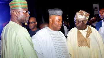 Why Tinubu/Mustapha is a great idea by Jesutega Onokpasa