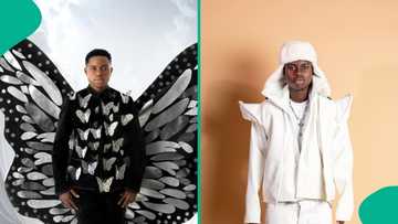 Fans concerned over streamer Peller potentially being on FBI radar “California prison isn’t joke.”