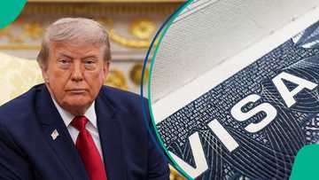 US announces special visa for foreigners who are different from others, lists eligibility