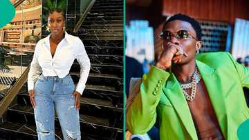 Old clips of BBNaija S9 housemate Nelly featuring in Wizkid's music video as a pole dancer emerges