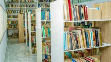 Tinubu upgrades Arewa house library in Kaduna as Sanwo-Olu commends him