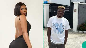 Ijoba Lande, Sandra Benede in hot exchange over old Instagram chat, fans take sides: "She is rude"