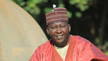 Babbar magana: Mawakin Buhari, Malam Yala ya ajiye aikin muƙamin SA na kakakin majalisar Kaduna