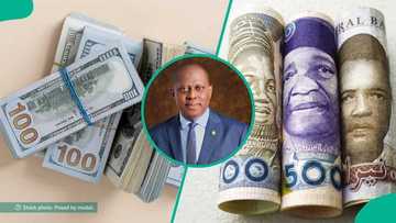 Naira gains in black market but slips at official window as FX pressure persists