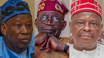 Ganduje angered by Tinubu, Kwakwanso meeting in Paris, leaked audio reveals