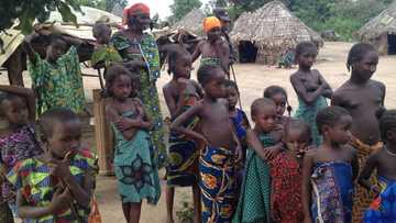 Boko Haram: A 2019, yara 1,115 suka mutu saboda tsananin yunwa a Borno - UNICEF