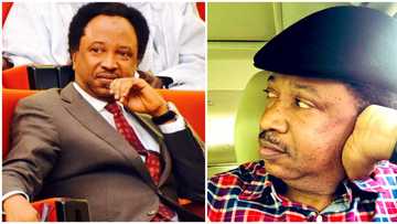 I drove like a Formula 1 driver - Shehu Sani narrates scary experience on Kaduna road 24hrs after school kidnap