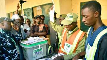 2023 governorship election results: Updated full list of states won by APC, PDP, NNPP and Labour Party