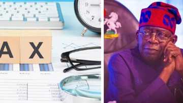 Nigeria, Cameroon, 8 others pay highest corporate tax in Africa
