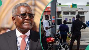 Oil marketers speak on Dangote petrol price as filling stations adjust pumps again